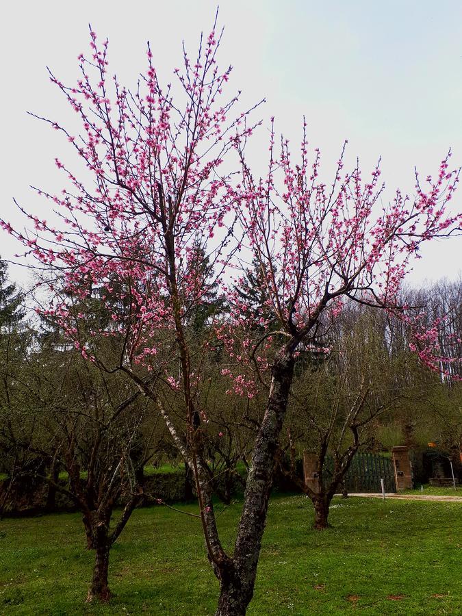 Bed And Breakfast Monticelli Capranica Екстериор снимка